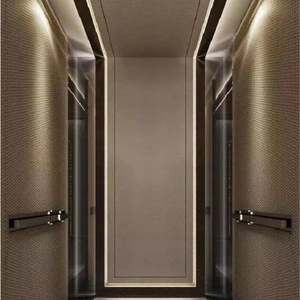 Ascensor de Pasajeros con Tracción Eléctrica de 400kg/600kg, Elevador Residencial para Interiores y Exteriores, para 4-8 Personas - Product Image 6