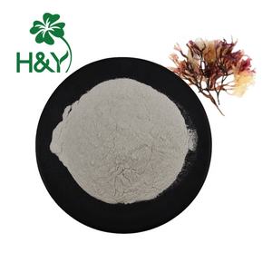 Hierbas Musgo de mar irlandés Chondrus Crispus Musgo irlandés Extracto de seamoss irlandés Polvo de seamoss - Product Image 1