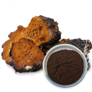 유기 차가 버섯 분말 Chaga 50% 다당류 - Product Image 1