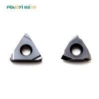 Fengyi Customized Indexable CNC Tool H Threading Inserts Tungsten Carbide AG 60 Threading Turning Inserts