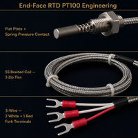 Sensor de Temperatura RTD de Platino Pt100 de Extremo Plano HUADONG