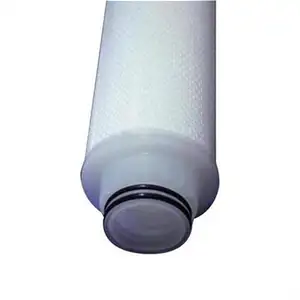 UHP Water Rinsed PTFE Membrane Filter Cartridges