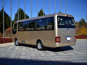 Autobús T7 3.5T Automatizado de Gasolina, Versión Oficial, con 19 Asientos y Motor V6 de 3.5T y 320hp para el Transporte de Pasajeros, en Oferta - Product Image 3