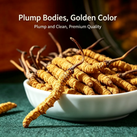 Extrait Herbal Liquide-Solide de Cordyceps Sinensis Sauvage de Haute Qualité – Extraction Alimentaire de Polyphénols Solides Entiers, Vitamine C et Protéines