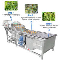ORME Nettoyeur de laitue à feuilles de moringa Lave-petits fruits et légumes Machine à laver le manioc Bubble Berry Pepper