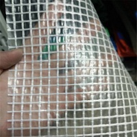 YRH usine 100% bâche en poly transparente robuste avec traitement UV pour l'agriculture à effet de serre PE PVC camion bâche rouleau feuille