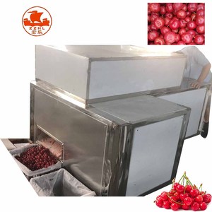 Venta caliente 150 kg/h La mejor máquina para quitar semillas de <span class=keywords><strong>cereza</strong></span> Fecha Máquina para deshuesar frutas de oliva con CE - Product Image 1