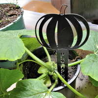 Marqueurs de plantes en métal pour jardin, étiquettes en fer pour herbes, légumes et fruits, piquets décoratifs pour pots de fleurs