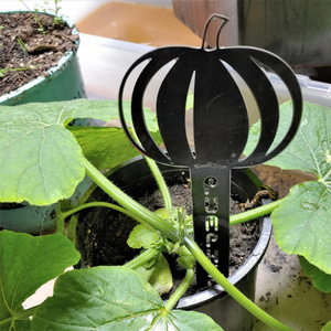 Etichette <span class=keywords><strong>in</strong></span> Metallo per Piante da Giardino, Targhette <span class=keywords><strong>in</strong></span> Ferro per Erbe, Verdure e Frutta, Picchetti Decorativi per Vasi <span class=keywords><strong>di</strong></span> <span class=keywords><strong>Fiori</strong></span> - Product Image 5