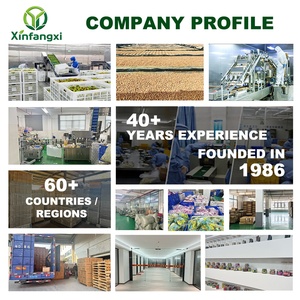 ผงบาร์บีคิวผสมพลัมอบแห้งคุณภาพสูงขายดี ปรุงรสลิฮิงมุย แหล่งธรรมชาติ พรีเมียม บริสุทธิ์ - Product Image 6