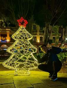 Guirlandes lumineuses LED imperméables pour extérieur, motif branche d'arbre, pour décorations de Noël, de rue et de maison - Product Image 1