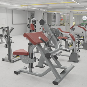 Équipement de musculation professionnel pour salle de sport, machine à biceps, entraîneur musculaire pour la musculation, LK-066, meilleur équipement de gym LK-066 - Product Image 6