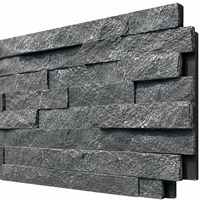 Dalles de quartzite noir pour revêtement mural extérieur, surface fendue, design contemporain, durable, résistant aux acides