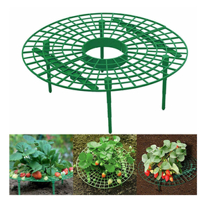 Support <span class=keywords><strong>de</strong></span> culture <span class=keywords><strong>de</strong></span> fraises A32 avec plateau cylindrique – Outil <span class=keywords><strong>de</strong></span> jardinage pour la plantation et les rangées <span class=keywords><strong>de</strong></span> fraises - Product Image 6