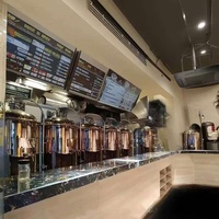 Brasserie Nano Clé en Main 1000L Ligne de Production de Bière Compacte avec Réservoir sous Pression
