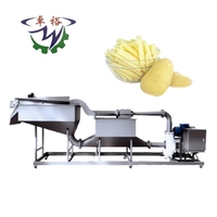 Automatische Chips Slicer Hydro Snijmachine Fruit En Groente Cassave Cutter Hydro Snijmachine Voor Aardappelen