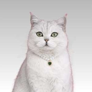 Venta al por mayor de lujo de cristal perro gato Halloween Navidad <span class=keywords><strong>collar</strong></span> - Product Image 3