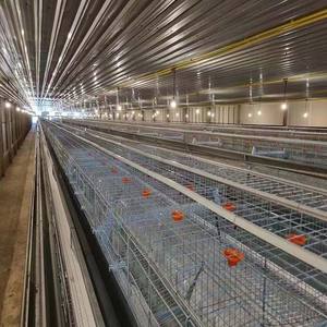 <b>Poultry</b> <b>equipment</b> automatic <b>poultry</b> feeder <b>animal</b> & <b>poultry</b> <b>husbandry</b> <b>equipment</b> - Product Image 2