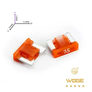 Fornitore di fabbrica professionale 1A-30A Standard e Mini e sottile Mini lama fusibile Plug-in