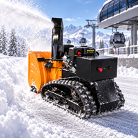 Souffleuse à neige thermique résidentielle pour jardin, largeur de coupe 600 mm, 194 kg, propulsion par chenilles, commande PLC 24V, jaune et noir