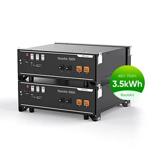 Sunpal RackArk Ladespannung 53,5-54,5 V Ionen 5000Watt 10000Watt Lifepo4 Batterie Solar 51,2 V Lithium batterie