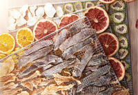16 Bakjes Mini Commerciële Kleine Schaal Ananas Tomaat Aardappel Mango Groente Fruit Elektrische Voedsel Dehydrator
