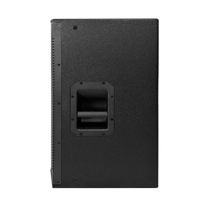 <span class=keywords><strong>Leon</strong></span> Audio EV-15DSP Altoparlante Attivo Full Range da 15 Pollici 500W RMS con DSP per Palcoscenici all'Aperto - Product Image 4