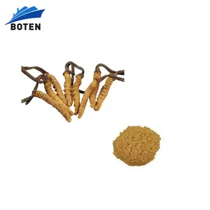 Natural Organic Pure Wild Cordyceps Sinensis Extract