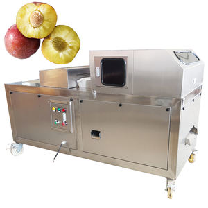 Machine à dénoyaouter les olives et les cerises automatique professionnelle à vendre à prix avantageux - Product Image 2