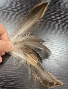 Linda Down Factory Wholesale Ultra-Practical Feather Fillers 2-4 Cm Grey Duck Feathers