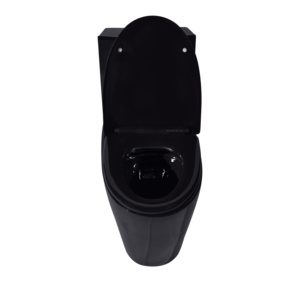Các nhà máy tốt nhất bán hàng nóng nhà vệ sinh phòng tắm <span class=keywords><strong>WC</strong></span> Bộ Thương mại màu đen colour không có vành nhà vệ sinh màu đen với kéo dài bát - Product Image 5