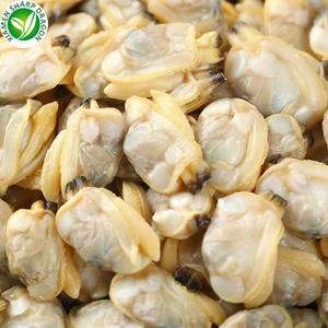 Carne de almeja de bebé hervida congelada IQF Mariscos de calidad premium para sus delicias culinarias - Product Image 3