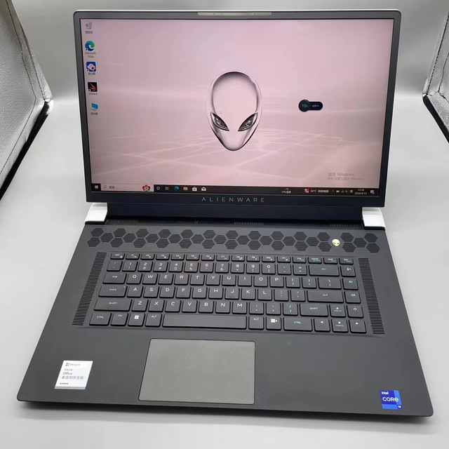 17.3 Inch Intel I7 RTX 3080 1TB SSD 32GB DDR4 165Hz Refresh Rate Gaming Laptop with English Keyboard Windows 10