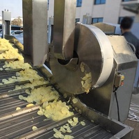 Ligne de production de chips de pommes de terre entièrement automatique TCA 100 kg/h, machine à fabriquer des chips de pommes de terre certifiée CE