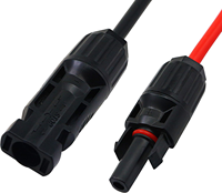 Câble de connecteur de panneau solaire connecteur SAE 10AWG vers connecteurs solaires mâles et femelles pour chargeur de batterie d'alimentation cc de panneau solaire de RV