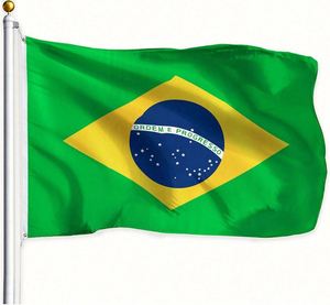 Hot Sale Custom Mexican Country <b>Flag</b> 3x5ft Printed Polyester Promotional <b>Flags</b> & Banners - Product Image 5