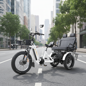 Venta al por Mayor de Triciclo Eléctrico de Carga de 48v con Motor de 2500w - Product Image 1