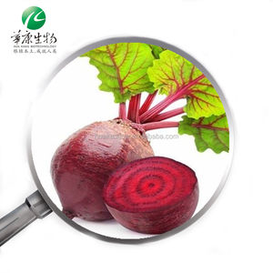 ผงบีทรูทสีแดงบีทรูทสารสกัด100% บีทรูทบริสุทธิ์ - Product Image 3