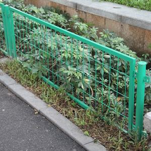 1ft e 2ft altezza di <span class=keywords><strong>plastica</strong></span> rivestimento <span class=keywords><strong>in</strong></span> pvc verde maglia telaio saldati pannello di recinzione/Guangzhou fornitore di recinzione <span class=keywords><strong>per</strong></span> il giardino di fiori letto - Product Image 6