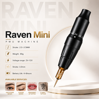 Kit de machine PMU électrique Raven Mini en aluminium, stylo de microblading RCA, aiguille universelle pour cartouche 2,0 mm-3,5 mm