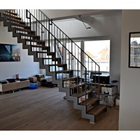 Conception d'escalier moderne Tanlong, escaliers en fer, escaliers droits