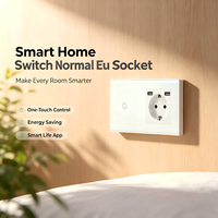 Interrupteur intelligent WiFi UBARO EU, double prise murale USB, panneau tactile en verre trempé, commande vocale Alexa Yandex Alice pour application IP20