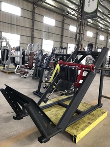 Macchina a Carico Variabile con Pulegge Personalizzabile per Uso Domestico, Spedizione Gratuita, Attrezzatura Commerciale per Palestre, Nuovo Design Premium Minolta, Vendita all'Ingrosso - Product Image 4