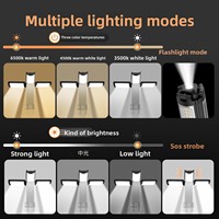 Lampe de camping LED extérieure multifonctionnelle rechargeable avec support, idéale pour l'extérieur et les voyages transfrontaliers