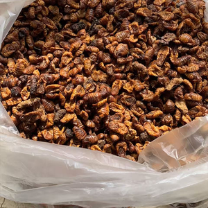 חם מכירת תולעי משי מיובשים גבות חלבון גבוהה לחומינים בעלי חיים - Product Image 1