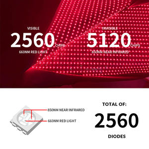 AZURETHERAPY terapia luce infrarossa cintura 660nm 850nm uso domestico rosso dolore trattamento del corpo involucro wholessales tipo in piedi - Product Image 5