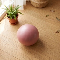 Ballon de Pilates et de Yoga en PVC 25 cm Durable Antidérapant Haute Densité avec Pompe pour Renforcement du Tronc, Thérapie Physique et Entraînement en Salle de Sport