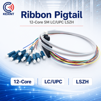 Ruban de Fibre Optique Monomode 12 Cœurs LC/UPC Simplex SM MM LSZH de Qualité Télécom, Fournisseur Fabricant, Personnalisé, 0,9 mm
