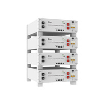 Batteries solaires rechargeables Deye montées en rack 51.2v 100Ah 10kwh 15kwh 20kwh 30kwh