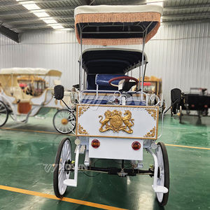 Carruaje Eléctrico de Lujo Estilo Retro para Turismo, con Batería, para Bodas, Lugares Turísticos y Parques de Atracciones - Product Image 6
